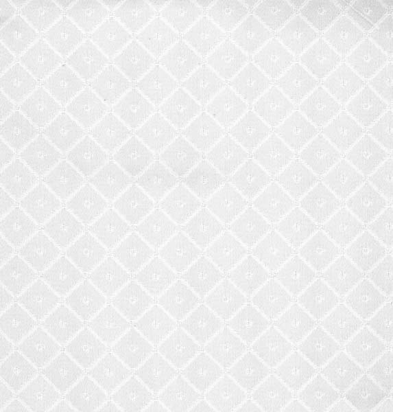 BROCADE - WHITE